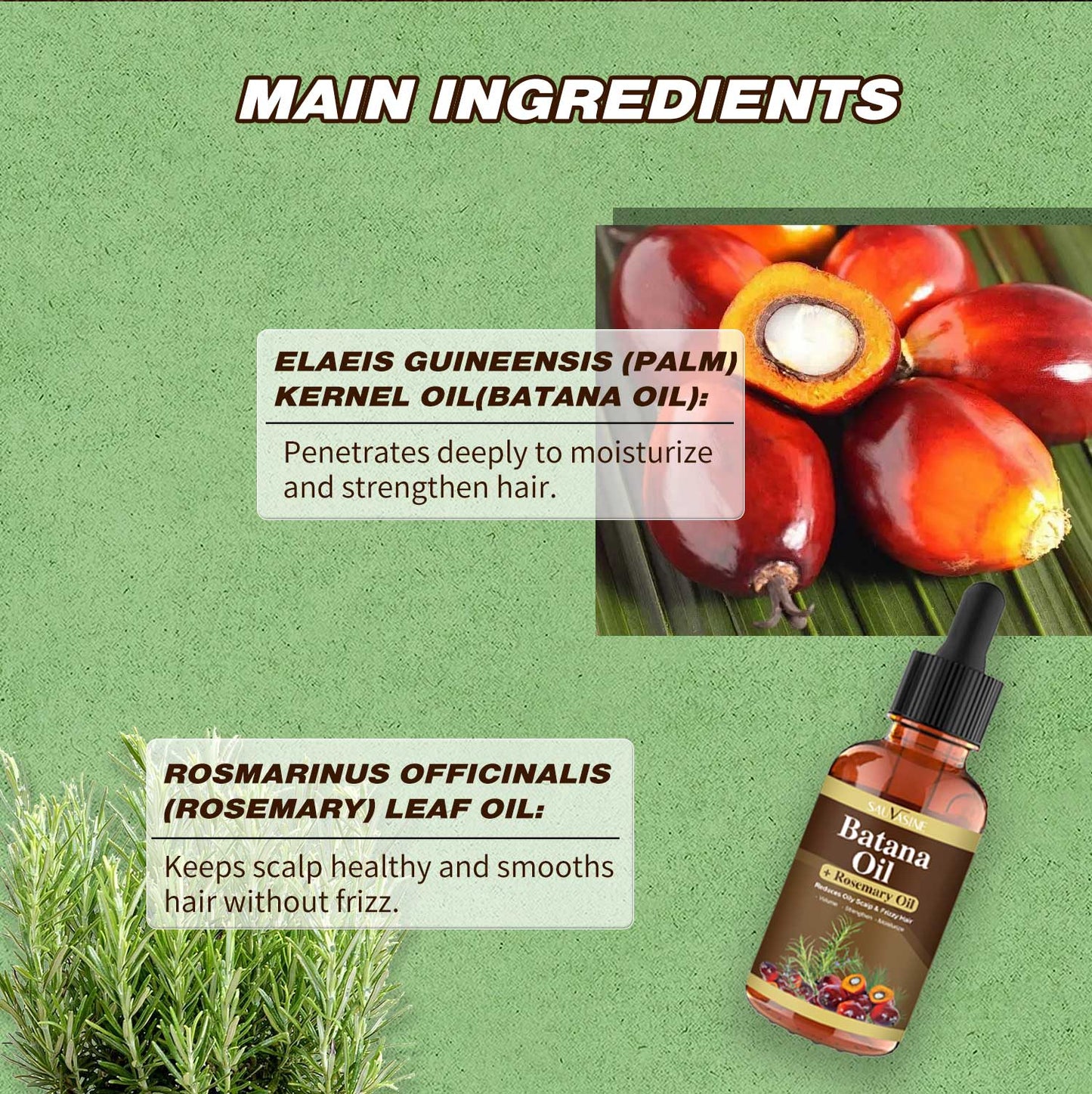 Batana Oil and Rosemary Oil – Natural Hair Growth & Repair Oil