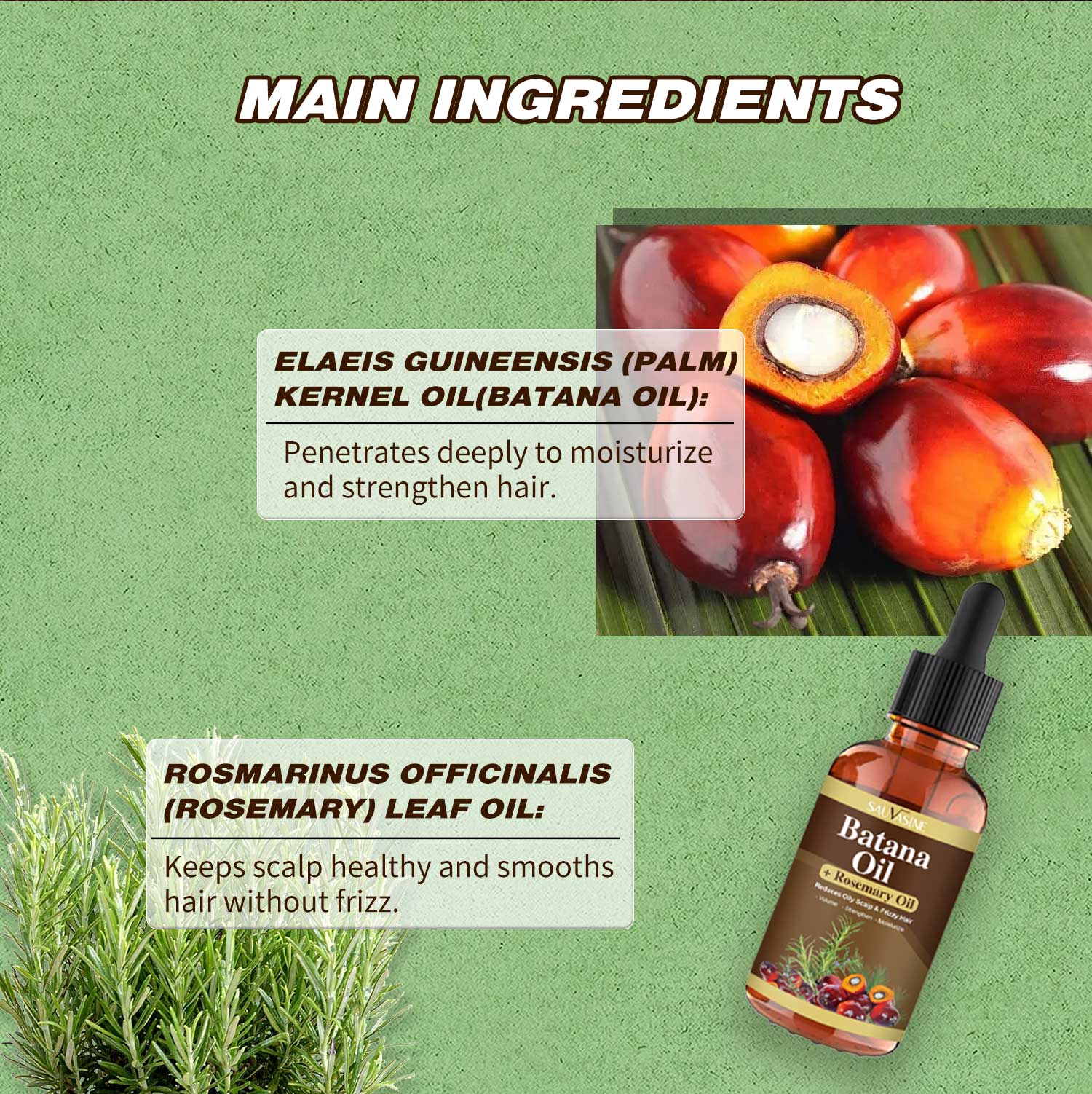 Batana Oil and Rosemary Oil – Natural Hair Growth & Repair Oil